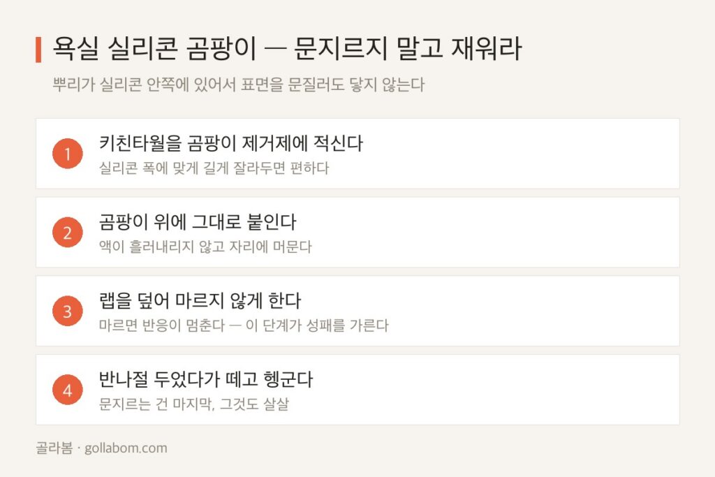 욕실 실리콘 곰팡이 — 문지르지 말고 재워야 지워지는 이유